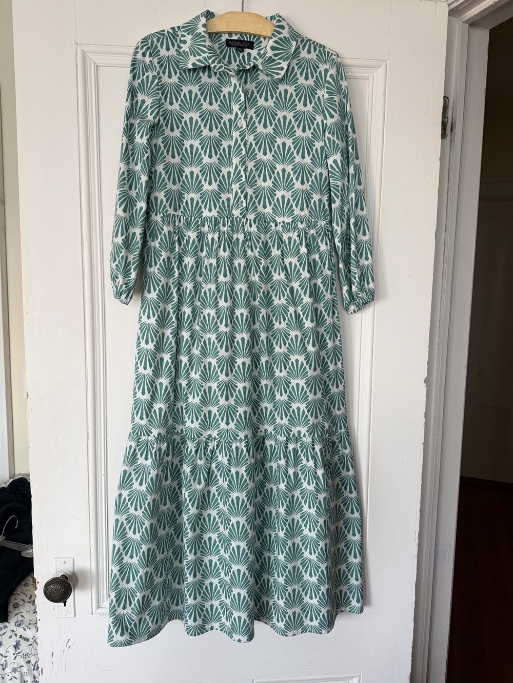 Rachel Zoe Green and White Printed Maxi Dress